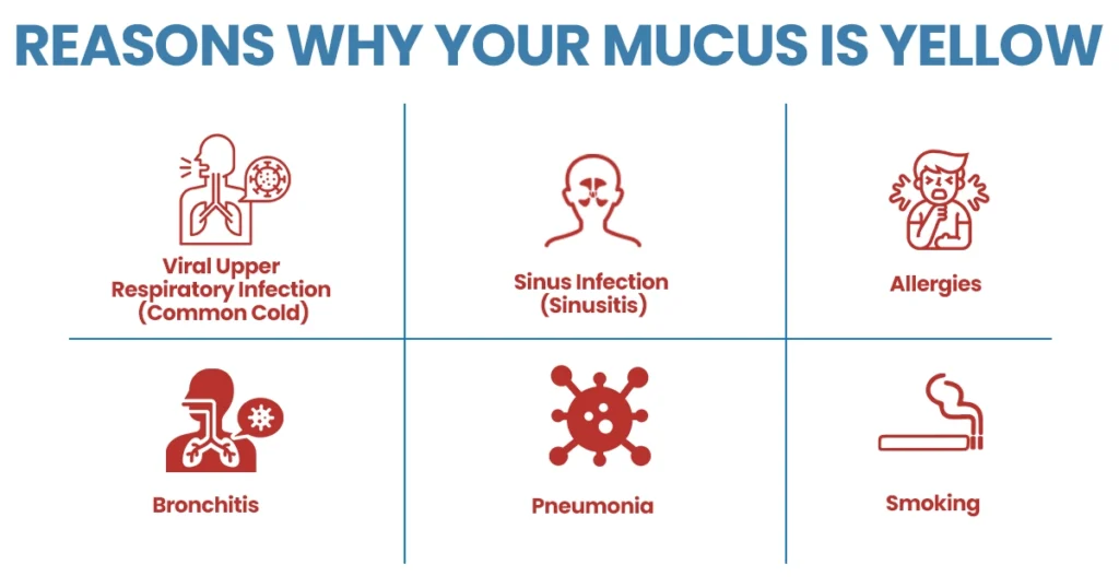 Reasons why your mucus is yellow including infections and allergies.