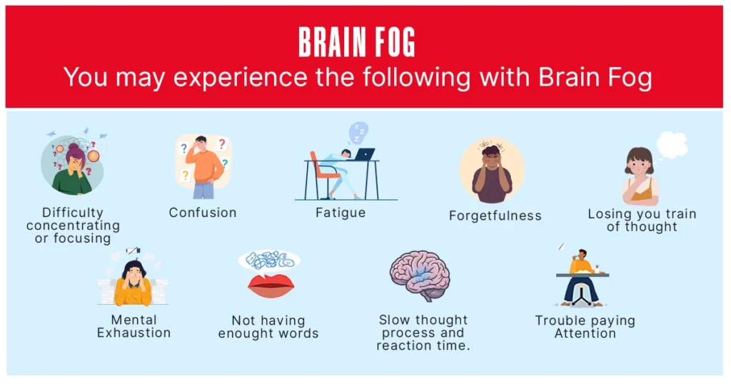 Infographic showing common brain fog symptoms.