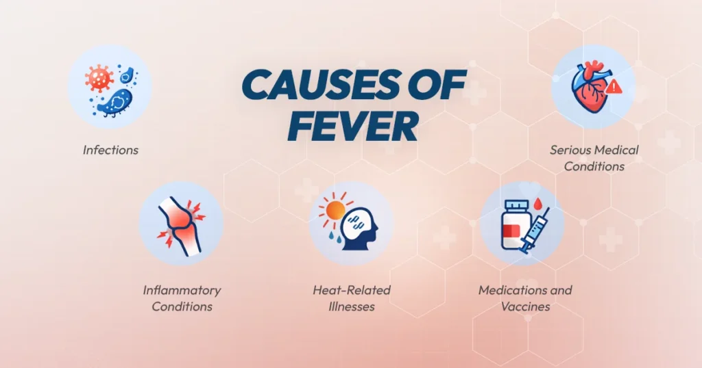 Infographic displaying five illustrated causes of fever represented by icons: infections, inflammatory conditions, heat-related illnesses, medications and vaccines, and serious medical conditions.