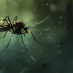 Extreme macro close-up of a mosquito flying in dark lighting.