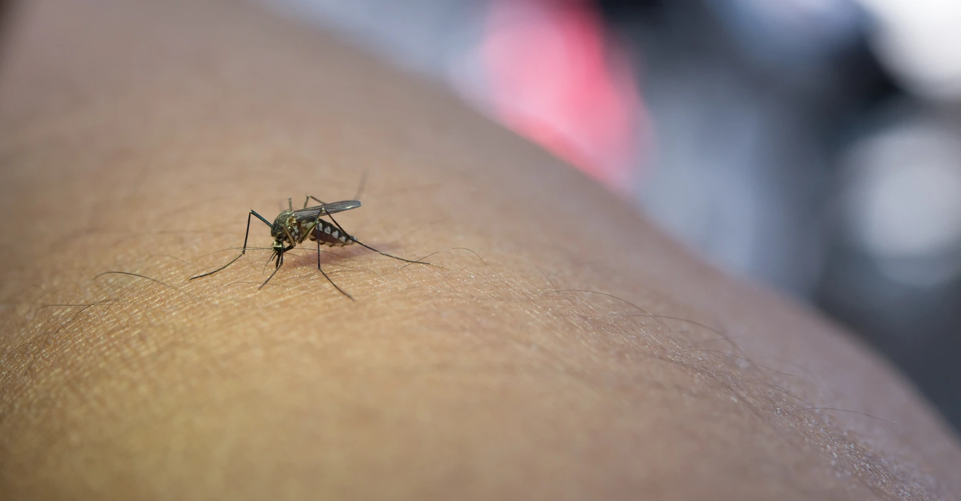 What Is West Nile Virus​?